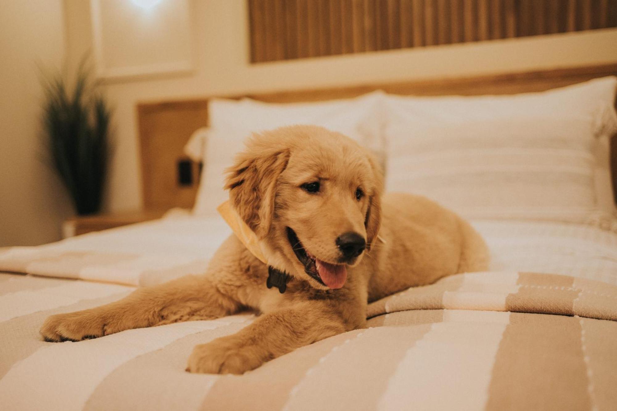 Jules & Laurent Hotel Contemporaneo エンセナダ エクステリア 写真